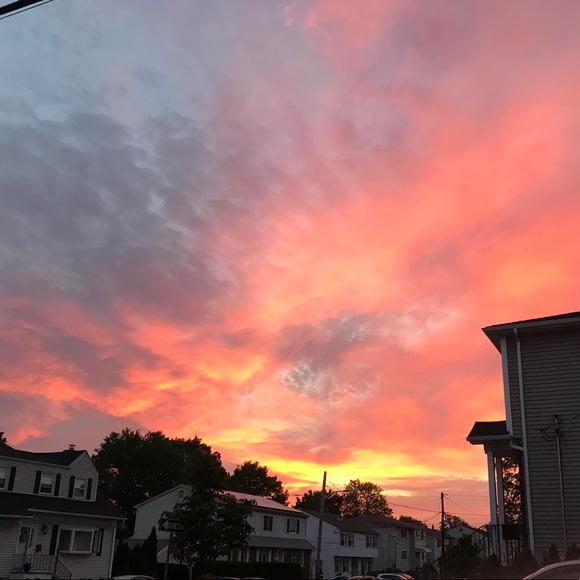 Meet your Posher, Vivian - Picture 1 of 1